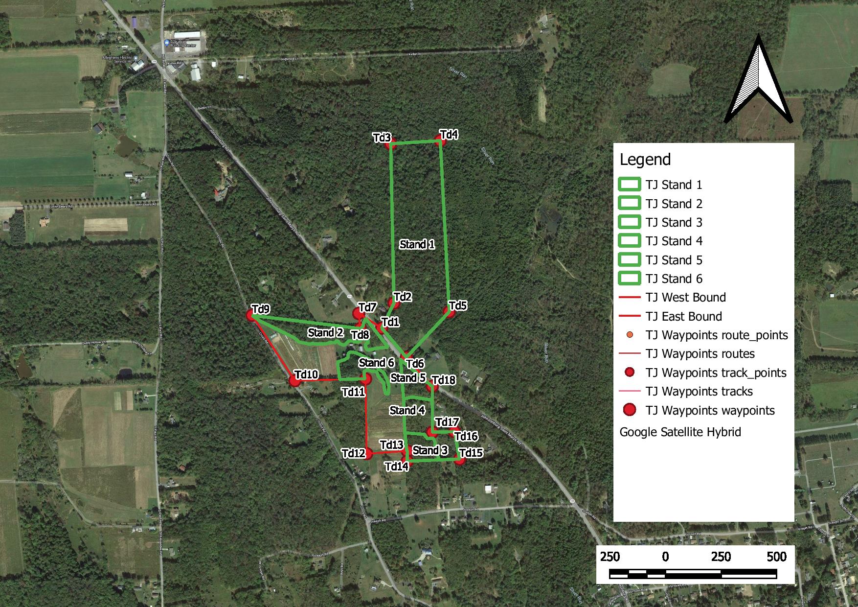 Winterberry Forestry | Services